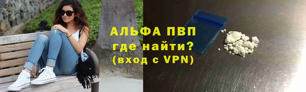 прущие грибы Киреевск