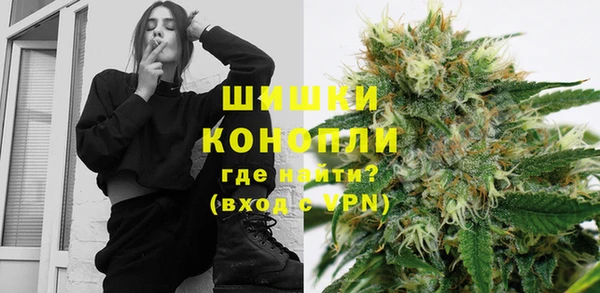 прущие грибы Киреевск