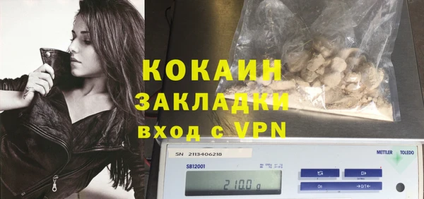 прущие грибы Киреевск