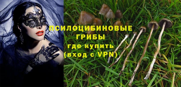 прущие грибы Киреевск