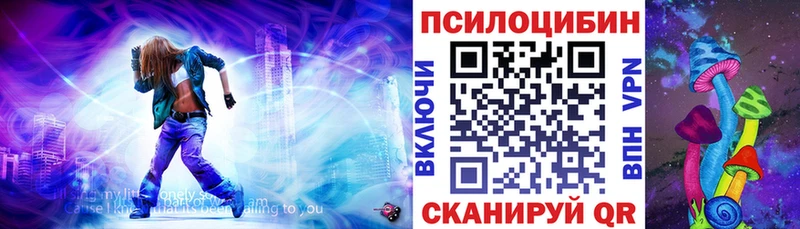 Галлюциногенные грибы Psilocybe  что такое   Рязань 