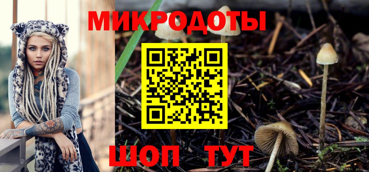 цены наркотик  Псилоцибиновые грибы ЛСД  Вход с VPN  Рязань 