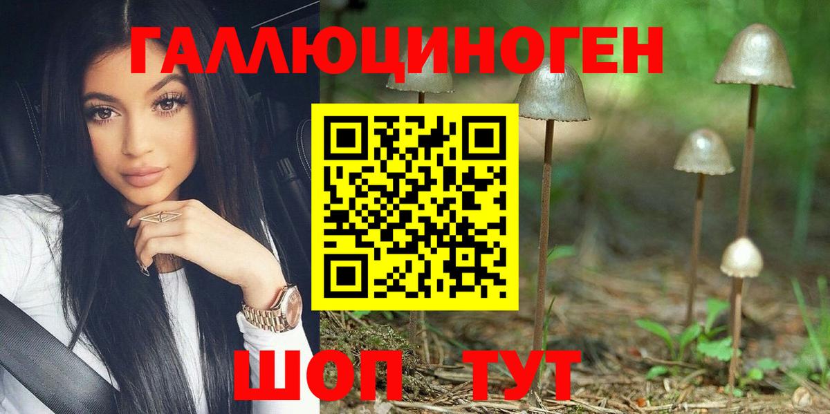 Псилоцибиновые грибы Psilocybe Рязань