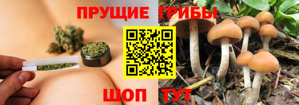 Псилоцибиновые грибы мухоморы Рязань