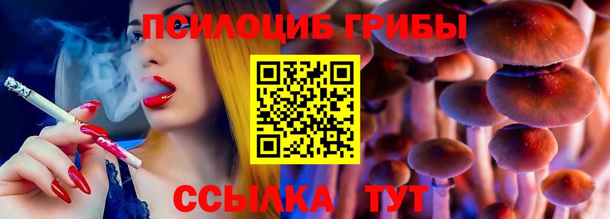 закладка  Галлюциногенные грибы мухоморы  Вход с VPN  Рязань 